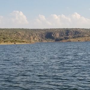 Meet your Posher, Ale